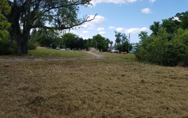 Cleared Grass