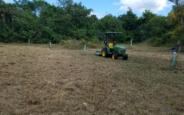 Tractor in the Field